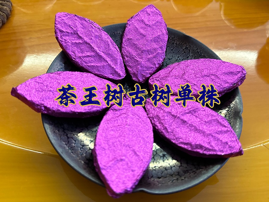 茶王树古树单株/公斤
